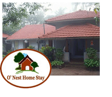 O nest Home Stay 